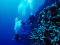 Ofertas Costa Azahar - Actividades de ocio - Buceo