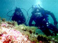 Ofertas Costa Azahar - Actividades de ocio - Buceo