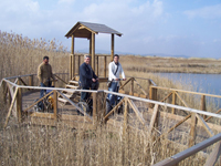 Despedidas de soltero en Castellón