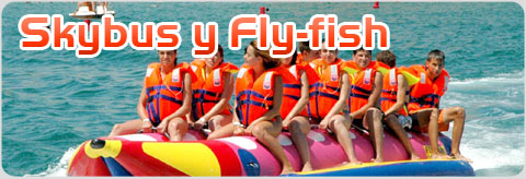 Skybus y Fly-fish